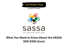 What You Need to Know About the SASSA SRD R350 Grant