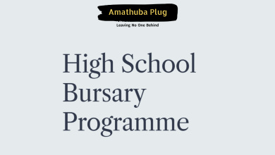 Investec High School Bursary Programme 2027: Funded Education for Grade 10 to 12 Learners in South Africa
